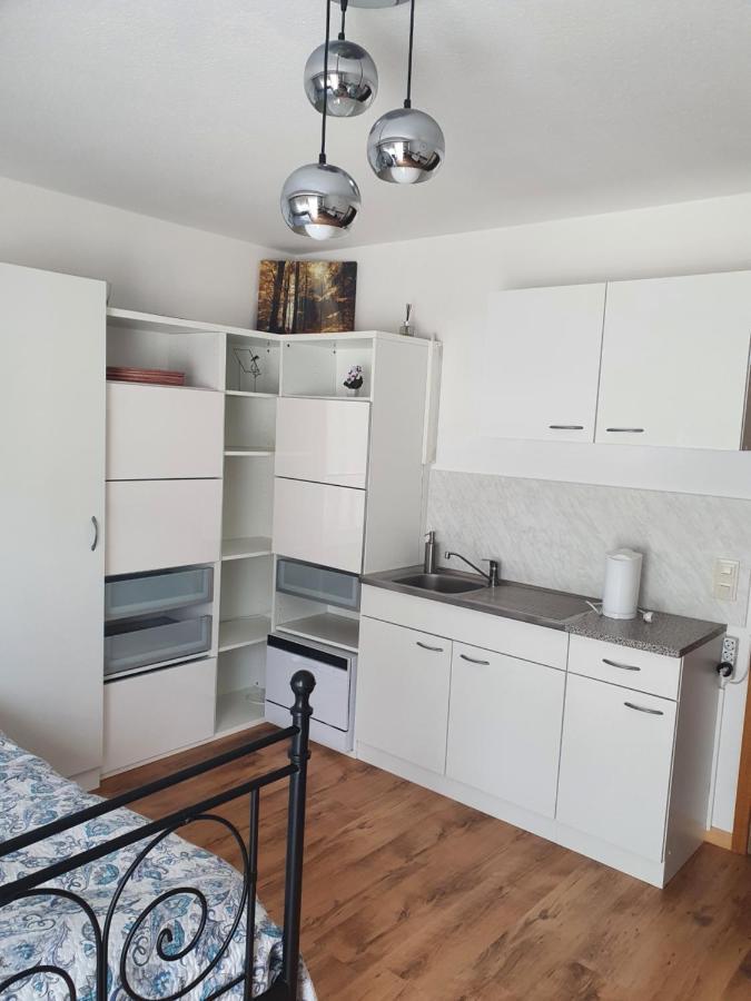 Haus Am Scheibenfelsen Appartement St. Blasien Buitenkant foto