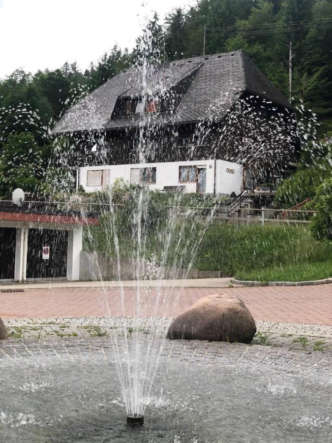 Haus Am Scheibenfelsen Appartement St. Blasien Buitenkant foto