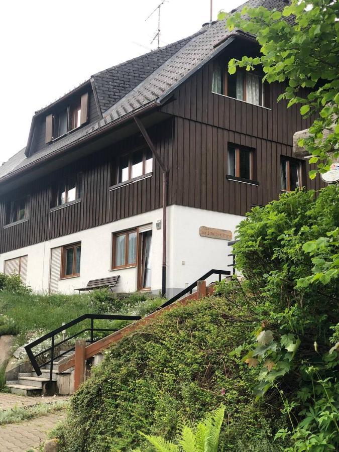 Haus Am Scheibenfelsen Appartement St. Blasien Buitenkant foto