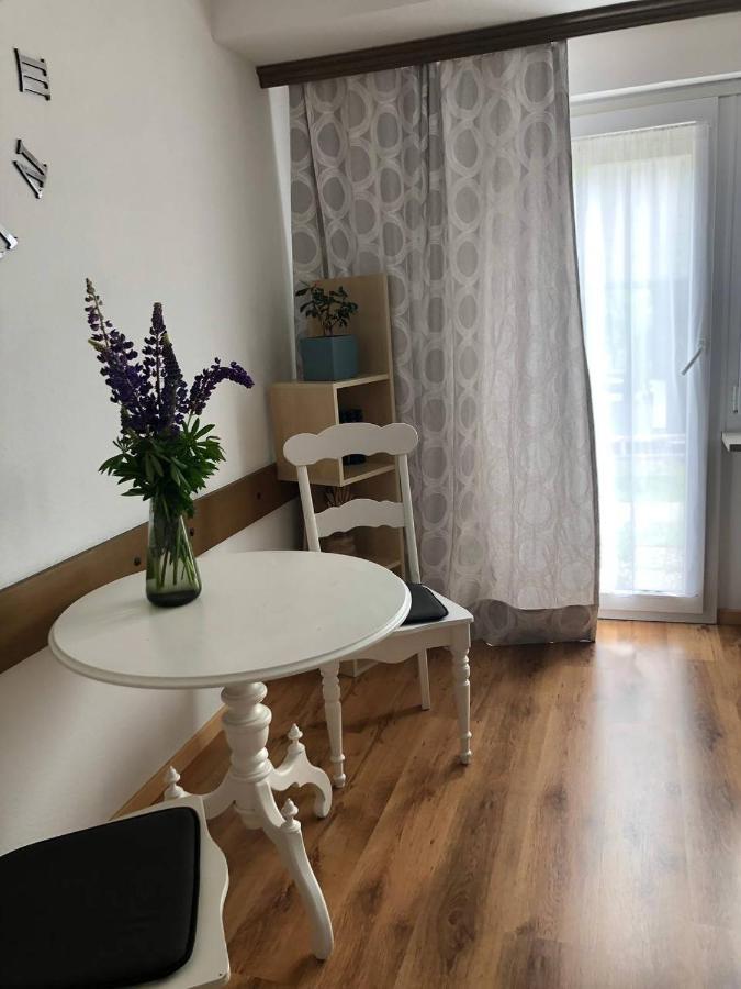 Haus Am Scheibenfelsen Appartement St. Blasien Buitenkant foto