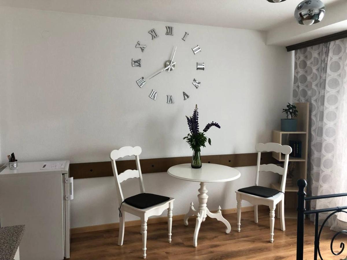 Haus Am Scheibenfelsen Appartement St. Blasien Buitenkant foto