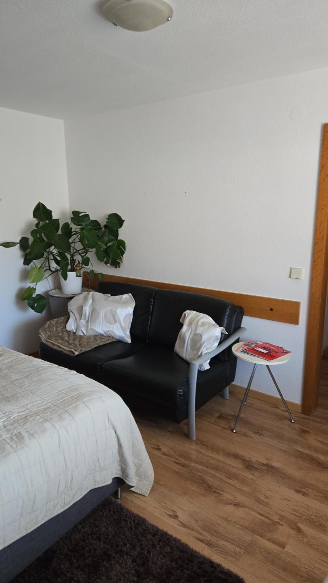 Haus Am Scheibenfelsen Appartement St. Blasien Buitenkant foto