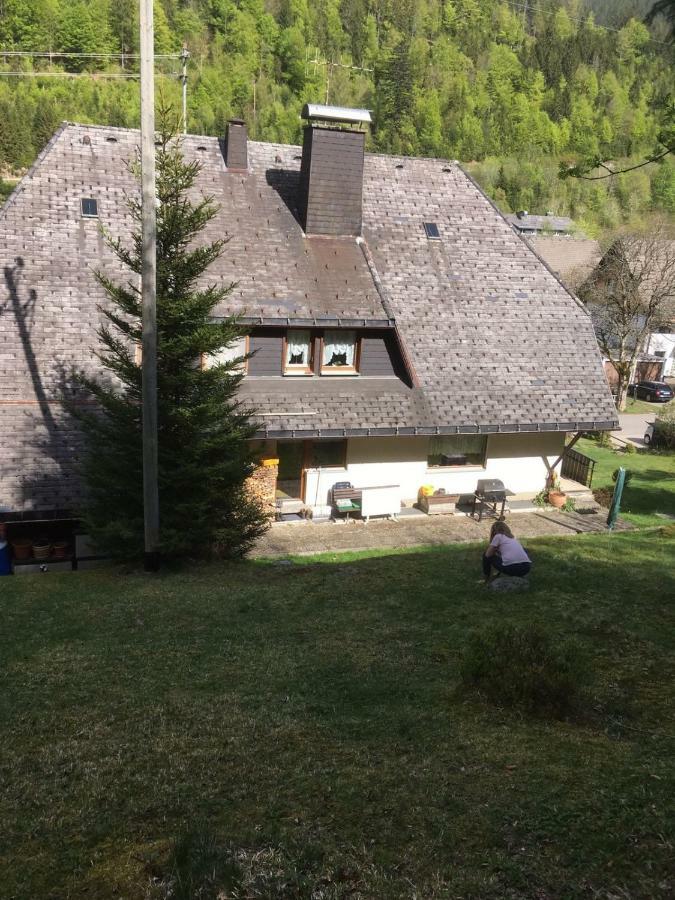 Haus Am Scheibenfelsen Appartement St. Blasien Buitenkant foto